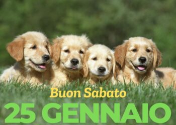 Immagini e Frasi del Buongiorno Buon Sabato 25 Gennaio 2025