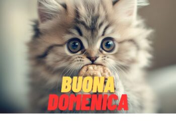 Immagini Buona Domenica 19 gennaio 2025 da condividere