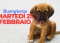 Buongiorno e Buon Martedì 25 Febbraio 2025